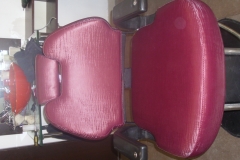 DSCI0440