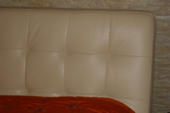 DSCI0062