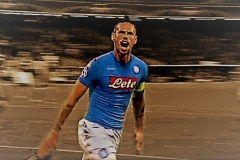 HAMSIK